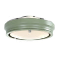 **Título técnico em português: **Luminária de Teto Redonda Verde com Difusor de Luz**